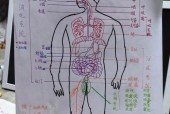 八大系统是什么?八大系统由什么组成?