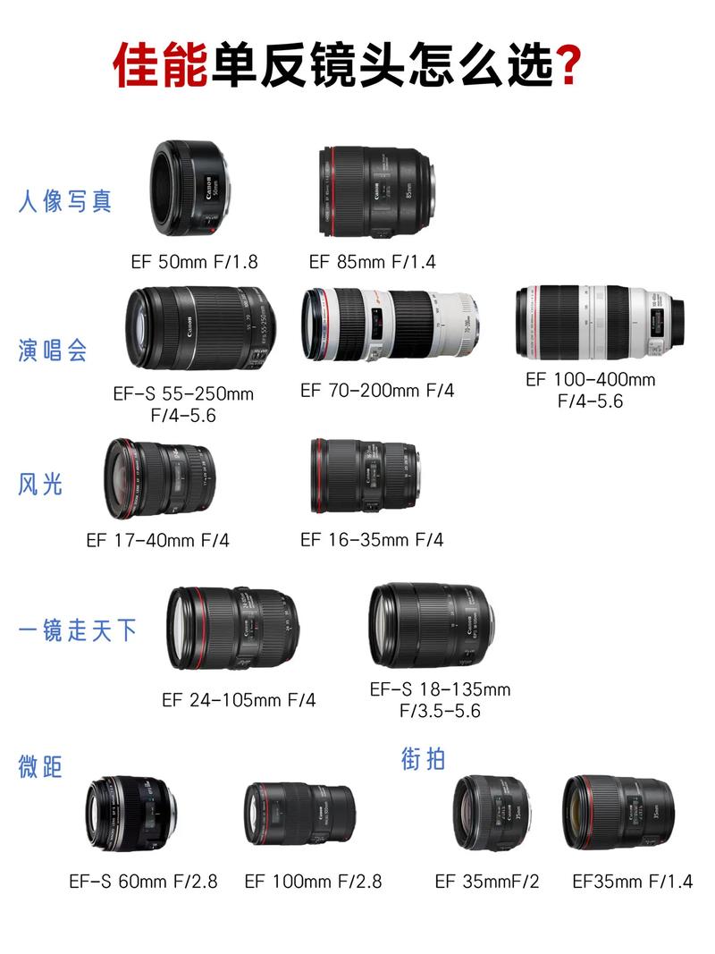 佳能单反微距镜头如何选取?佳能微单 微距?  第1张