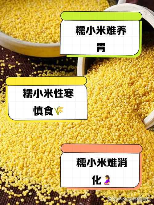 小米与红米是什么关系_红米跟小米是什么关系?  第1张