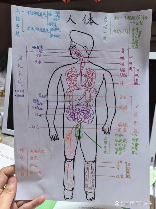 八大系统是什么?八大系统由什么组成?  第1张