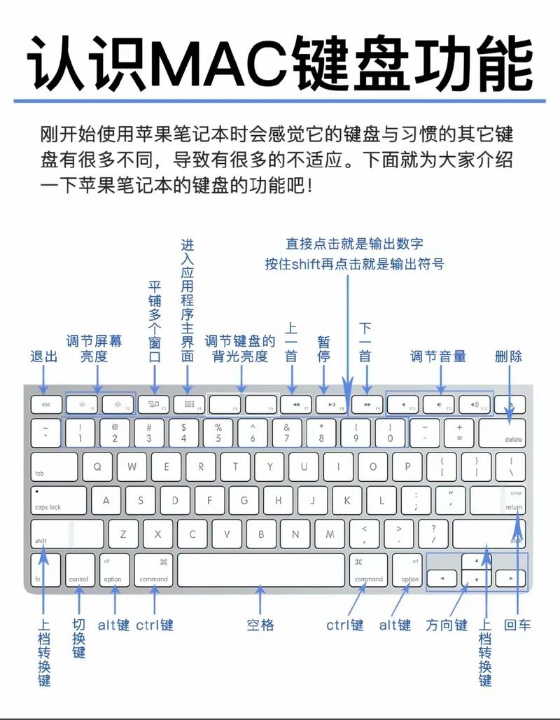 笔记本功能键怎么开启 - 笔记本上功能键怎么按  第1张