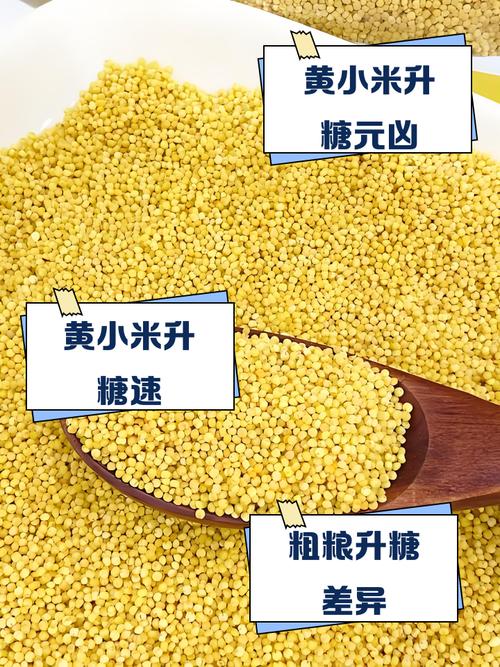 小米保质期一般是多久/小米保质期国家规定多久 第1张 小米保质期一般是多久/小米保质期国家规定多久 第1张
