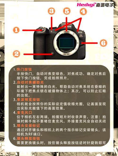 佳能相机哪个键是拍照?佳能照相机拍照键在哪里?  第1张