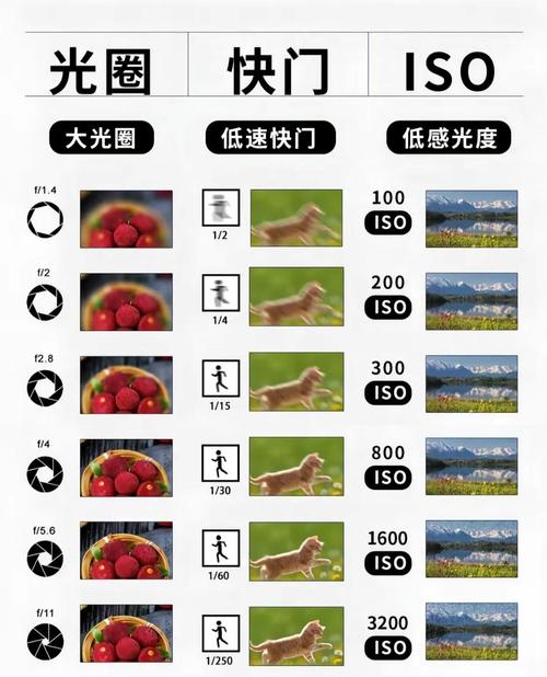 佳能40d快门次数 - 快门次数 佳能  第1张